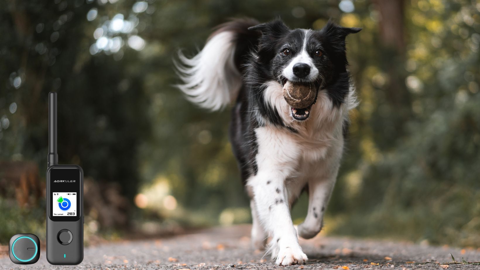 All You Need to Know About Aorkuler GPS Dog Tracking Device